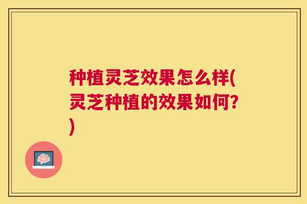 种植灵芝效果怎么样(灵芝种植的效果如何?) 种植灵芝效果怎么样(灵芝种植的效果如何?)
