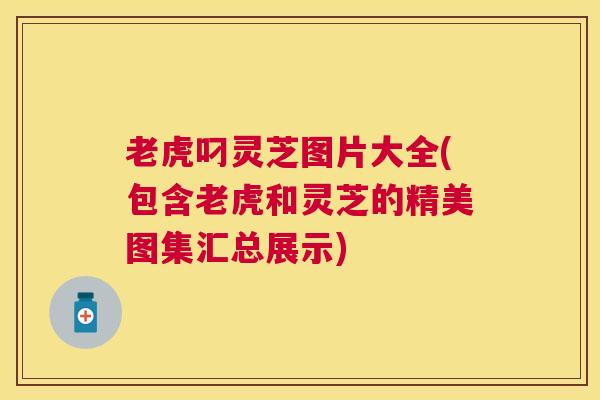 老虎叼灵芝图片大全(包含老虎和灵芝的精美图集汇总展示) 老虎叼灵芝图片大全(包含老虎和灵芝的精美图集汇总展示)