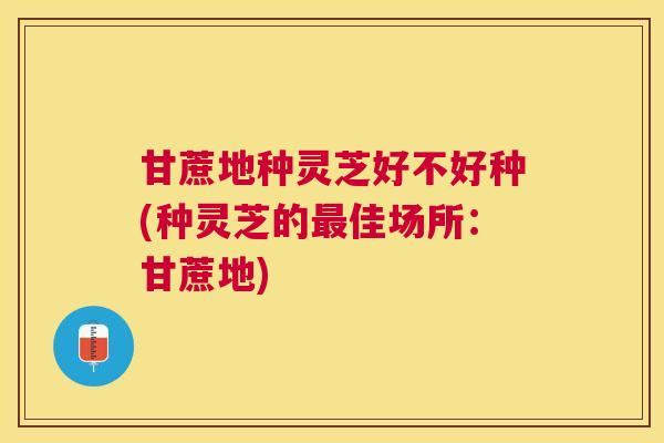 甘蔗地种灵芝好不好种(种灵芝的佳场所：甘蔗地)