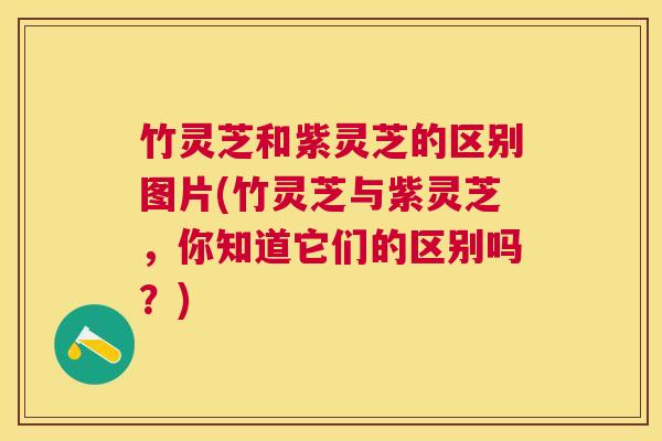 竹灵芝和紫灵芝的区别图片(竹灵芝与紫灵芝,你知道它们的区别吗?) 竹灵芝和紫灵芝的区别图片(竹灵芝与紫灵芝,你知道它们的区别吗?)