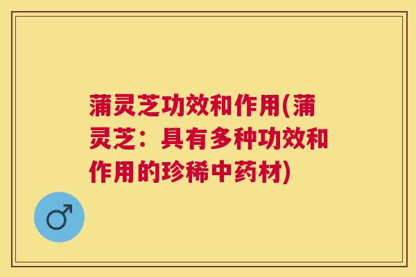 蒲灵芝功效和作用(蒲灵芝：具有多种功效和作用的珍稀材)