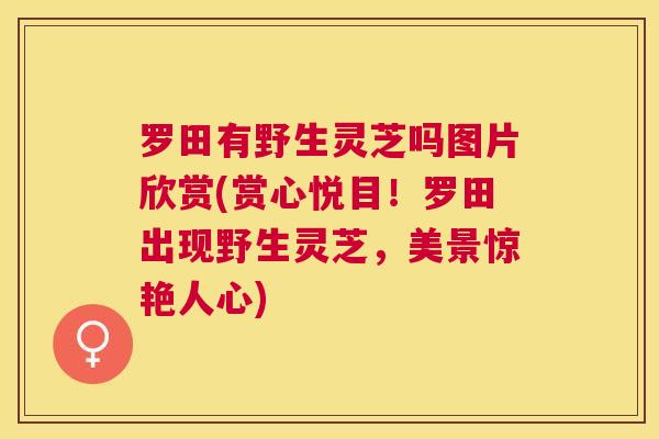 罗田有野生灵芝吗图片欣赏(赏心悦目!罗田出现野生灵芝,美景惊艳人心) 罗田有野生灵芝吗图片欣赏(赏心悦目!罗田出现野生灵芝,美景惊艳人心)