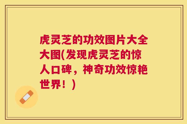 虎灵芝的功效图片大全大图(发现虎灵芝的惊人口碑,神奇功效惊艳世界!) 虎灵芝的功效图片大全大图(发现虎灵芝的惊人口碑,神奇功效惊艳世界!)