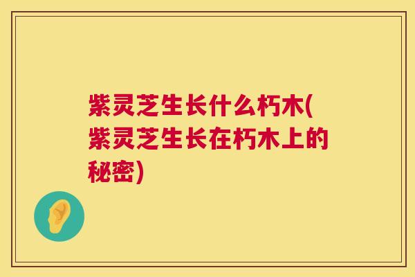 紫灵芝生长什么朽木(紫灵芝生长在朽木上的秘密)