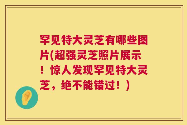 罕见特大灵芝有哪些图片(超强灵芝照片展示!惊人发现罕见特大灵芝,绝不能错过!) 罕见特大灵芝有哪些图片(超强灵芝照片展示!惊人发现罕见特大灵芝,绝不能错过!)