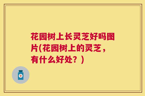 花园树上长灵芝好吗图片(花园树上的灵芝,有什么好处?) 花园树上长灵芝好吗图片(花园树上的灵芝,有什么好处?)