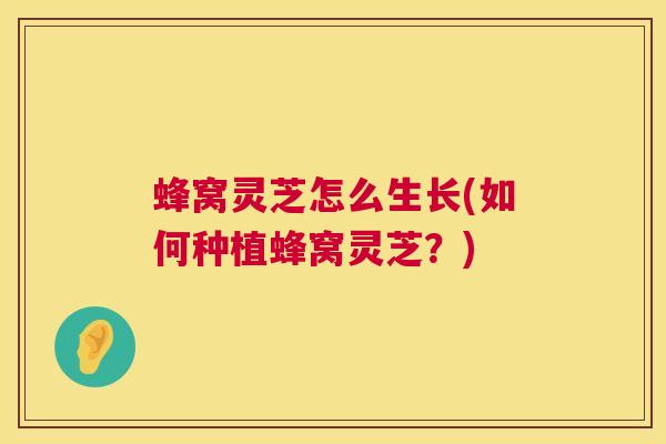 蜂窝灵芝怎么生长(如何种植蜂窝灵芝？)