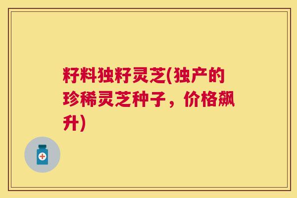籽料独籽灵芝(独产的珍稀灵芝种子，价格飙升)