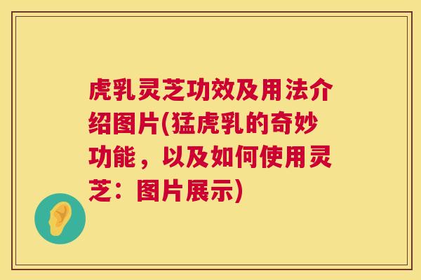 虎乳灵芝功效及用法介绍图片(猛虎乳的奇妙功能,以及如何使用灵芝:图片展示) 虎乳灵芝功效及用法介绍图片(猛虎乳的奇妙功能,以及如何使用灵芝:图片展示)