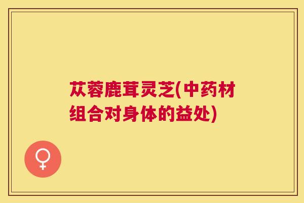 苁蓉鹿茸灵芝(材组合对身体的益处)