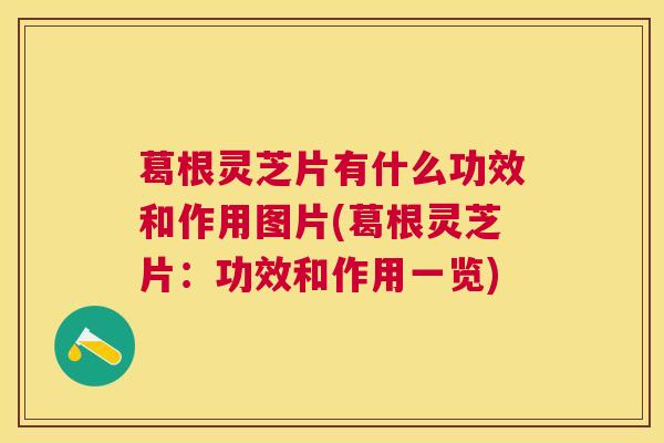 葛根灵芝片有什么功效和作用图片(葛根灵芝片：功效和作用一览)