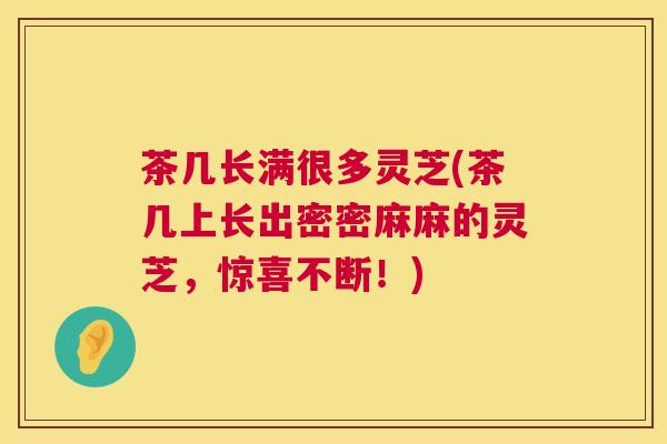 茶几长满很多灵芝(茶几上长出密密麻麻的灵芝,惊喜不断!) 茶几长满很多灵芝(茶几上长出密密麻麻的灵芝,惊喜不断!)