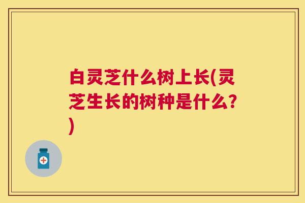 白灵芝什么树上长(灵芝生长的树种是什么?) 白灵芝什么树上长(灵芝生长的树种是什么?)