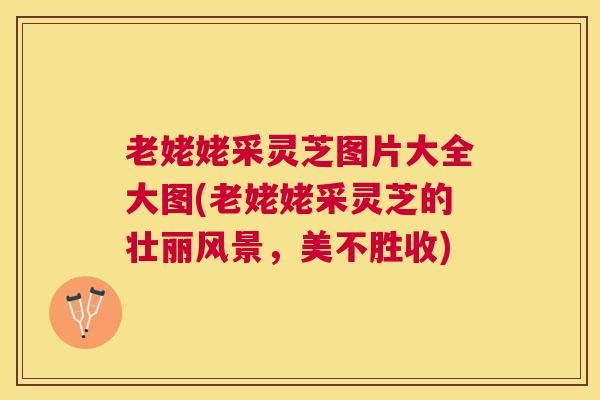 老姥姥采灵芝图片大全大图(老姥姥采灵芝的壮丽风景，美不胜收)