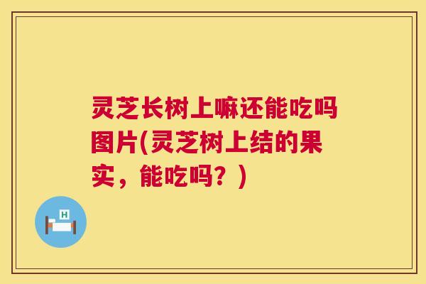 灵芝长树上嘛还能吃吗图片(灵芝树上结的果实，能吃吗？)