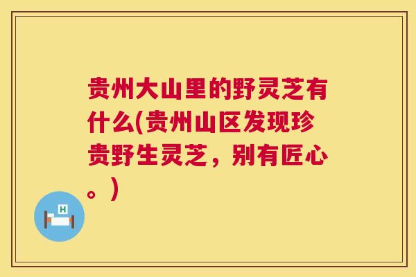贵州大山里的野灵芝有什么(贵州山区发现珍贵野生灵芝，别有匠心。)