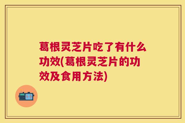 葛根灵芝片吃了有什么功效(葛根灵芝片的功效及食用方法)