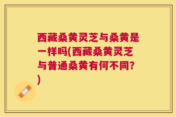 西藏桑黄灵芝与桑黄是一样吗(西藏桑黄灵芝与普通桑黄有何不同？)