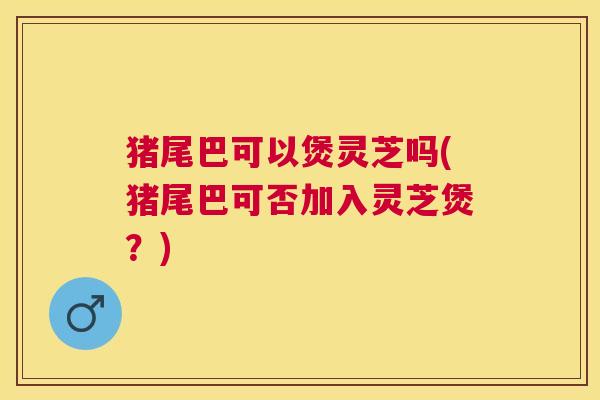猪尾巴可以煲灵芝吗(猪尾巴可否加入灵芝煲？)