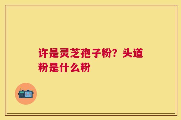 许是灵芝孢子粉?头道粉是什么粉 许是灵芝孢子粉?头道粉是什么粉