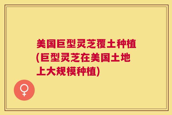 美国巨型灵芝覆土种植(巨型灵芝在美国土地上大规模种植) 美国巨型灵芝覆土种植(巨型灵芝在美国土地上大规模种植)