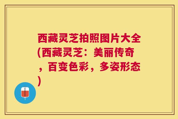 西藏灵芝拍照图片大全(西藏灵芝：美丽传奇，百变色彩，多姿形态)