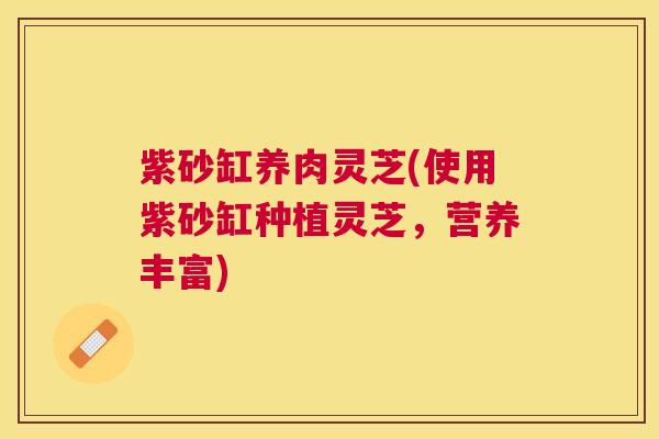 紫砂缸养肉灵芝(使用紫砂缸种植灵芝，营养丰富)