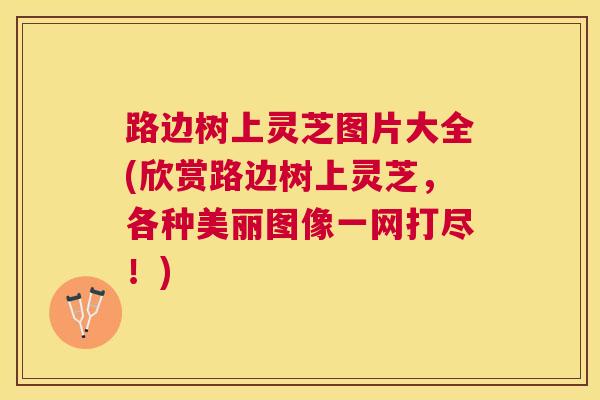 路边树上灵芝图片大全(欣赏路边树上灵芝,各种美丽图像一网打尽!) 路边树上灵芝图片大全(欣赏路边树上灵芝,各种美丽图像一网打尽!)