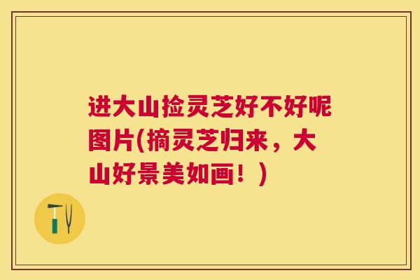 进大山捡灵芝好不好呢图片(摘灵芝归来，大山好景美如画！)