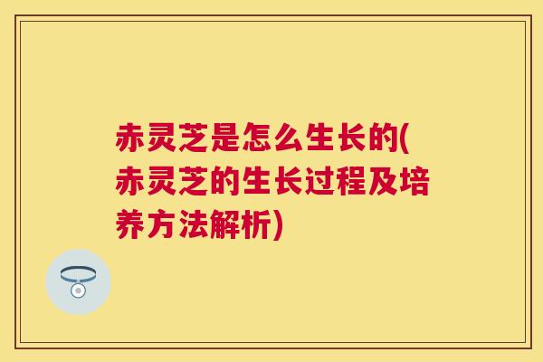 赤灵芝是怎么生长的(赤灵芝的生长过程及培养方法解析) 赤灵芝是怎么生长的(赤灵芝的生长过程及培养方法解析)