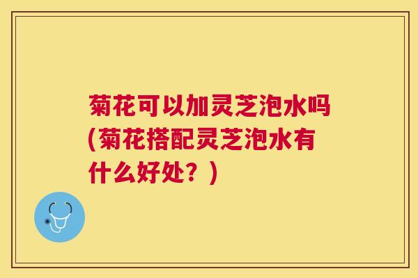菊花可以加灵芝泡水吗(菊花搭配灵芝泡水有什么好处?) 菊花可以加灵芝泡水吗(菊花搭配灵芝泡水有什么好处?)