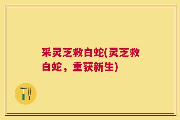 采灵芝救白蛇(灵芝救白蛇,重获新生) 采灵芝救白蛇(灵芝救白蛇,重获新生)