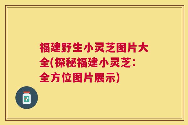 福建野生小灵芝图片大全(探秘福建小灵芝：全方位图片展示)