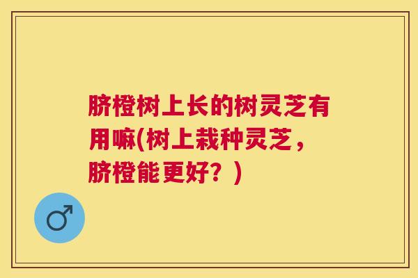 脐橙树上长的树灵芝有用嘛(树上栽种灵芝，脐橙能更好？)