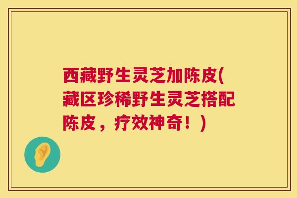 西藏野生灵芝加陈皮(藏区珍稀野生灵芝搭配陈皮，疗效神奇！)