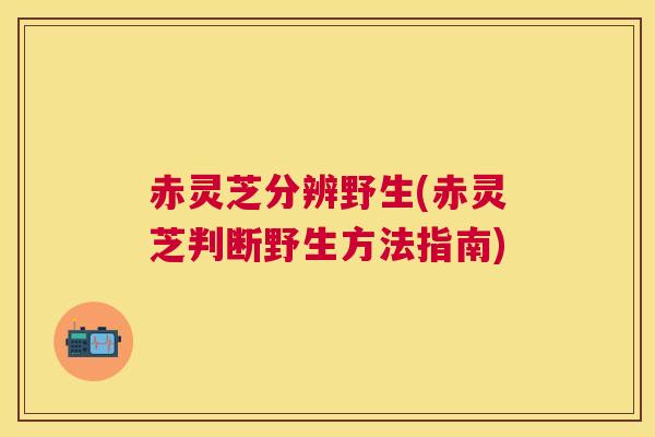 赤灵芝分辨野生(赤灵芝判断野生方法指南) 赤灵芝分辨野生(赤灵芝判断野生方法指南)