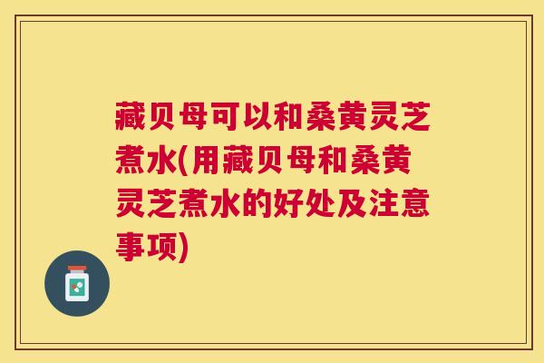 藏贝母可以和桑黄灵芝煮水(用藏贝母和桑黄灵芝煮水的好处及注意事项)