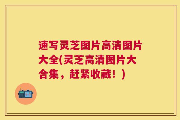 速写灵芝图片高清图片大全(灵芝高清图片大合集,赶紧收藏!) 速写灵芝图片高清图片大全(灵芝高清图片大合集,赶紧收藏!)