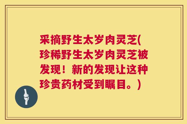 采摘野生太岁肉灵芝(珍稀野生太岁肉灵芝被发现!新的发现让这种珍贵药材受到瞩目。) 采摘野生太岁肉灵芝(珍稀野生太岁肉灵芝被发现!新的发现让这种珍贵药材受到瞩目。)
