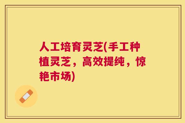人工培育灵芝(手工种植灵芝,高效提纯,惊艳市场) 人工培育灵芝(手工种植灵芝,高效提纯,惊艳市场)