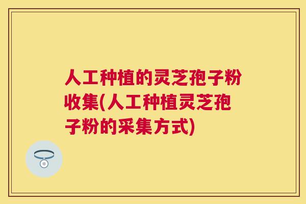 人工种植的灵芝孢子粉收集(人工种植灵芝孢子粉的采集方式)