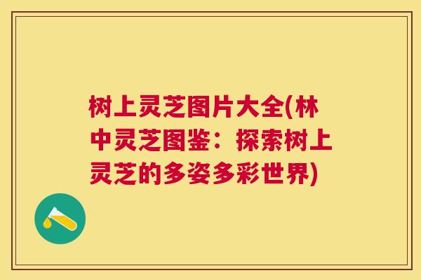 树上灵芝图片大全(林中灵芝图鉴:探索树上灵芝的多姿多彩世界) 树上灵芝图片大全(林中灵芝图鉴:探索树上灵芝的多姿多彩世界)