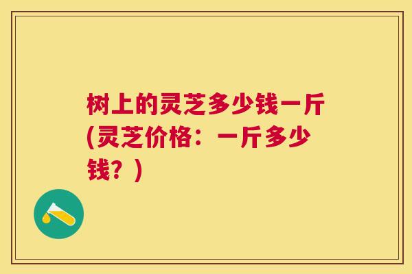 树上的灵芝多少钱一斤(灵芝价格:一斤多少钱?) 树上的灵芝多少钱一斤(灵芝价格:一斤多少钱?)