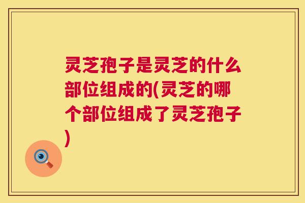 灵芝孢子是灵芝的什么部位组成的(灵芝的哪个部位组成了灵芝孢子)