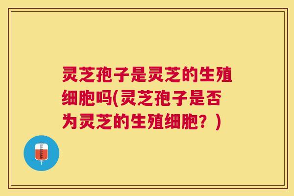 灵芝孢子是灵芝的生殖细胞吗(灵芝孢子是否为灵芝的生殖细胞？)