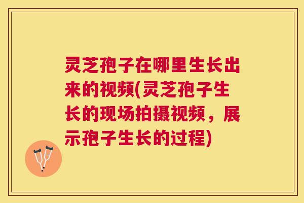 灵芝孢子在哪里生长出来的视频(灵芝孢子生长的现场拍摄视频，展示孢子生长的过程)