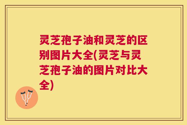 灵芝孢子油和灵芝的区别图片大全(灵芝与灵芝孢子油的图片对比大全) 灵芝孢子油和灵芝的区别图片大全(灵芝与灵芝孢子油的图片对比大全)