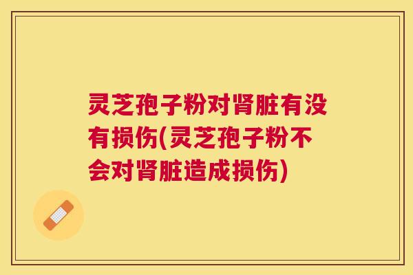 灵芝孢子粉对脏有没有损伤(灵芝孢子粉不会对脏造成损伤)
