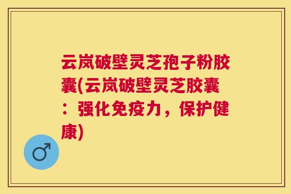 云岚破壁灵芝孢子粉胶囊(云岚破壁灵芝胶囊:强化免疫力,保护健康) 云岚破壁灵芝孢子粉胶囊(云岚破壁灵芝胶囊:强化免疫力,保护健康)