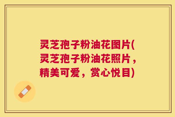 灵芝孢子粉油花图片(灵芝孢子粉油花照片,精美可爱,赏心悦目) 灵芝孢子粉油花图片(灵芝孢子粉油花照片,精美可爱,赏心悦目)
